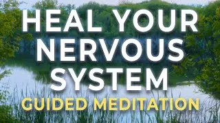 A Somatic Meditation to Heal Your Nervous System & Receive With Ease