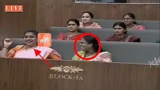 TDP MLA's Suspended From AP Assembly | MLA Roja Laughs At TDP Leaders Suspension | YCP Vs TDP|YOYOTV