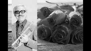 Willy Schobben - Donker rode rozen ( 1971 )