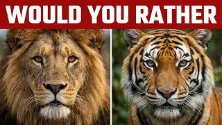 Would You Rather 🐶🦁 | Animal Edition | Fun & Tricky Quiz | Wild vs Cute Animals 🦁🐰 #quiz #animalquiz