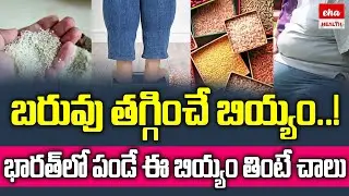 బరువు తగ్గించే బియ్యం..!| Which Rice Is Best For Weight Loss? | Weight Loss Health Tips | Eha Health