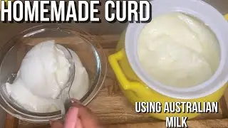 How to make CURD/DAHI at home || Homemade Curd Recipe using Australian Milk with important Tips