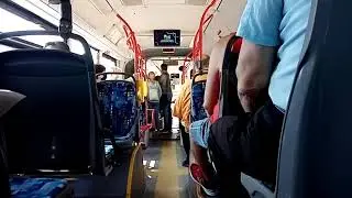 MAN A23 Lion's City G NG313 CNG №4593