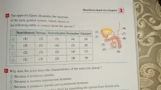 حل اسئله Questions Bank On chapter 3 للصف الثالث الثانوي لغات 2024