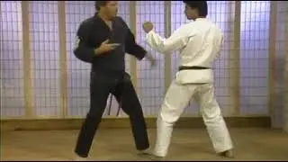 Kenpo - Dynamic Hand Strikes