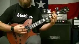 Washburn WI40NM Idol Guitar Specail Price!