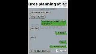 Bros plannin st #funny #memes #funnyreplies #funnytextmessages