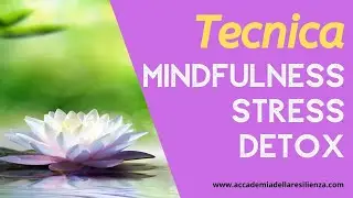 Tecnica Mindfulness Stress Detox - Liberati da ansia, stress, tossine emotive, mentali e fisiche