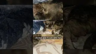 Billie Ki Soone Ka Tareeqa