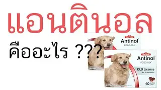 calflex ดีไหม calflex pantip CalFlex pantip Calflex สุนัข pantip Synoquin กับ Antinol synoquin ดีไหม