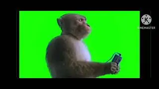 Monkey Listening To Music - Green Screen Memes 1