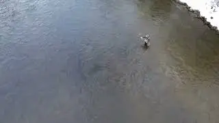 Deerfield River &ldquo;Wade Fishing High Water&rdquo;