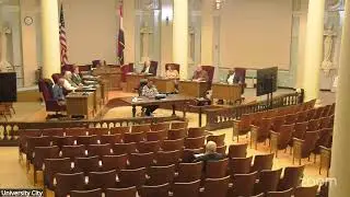 City Council Meeting - 11/10/2025