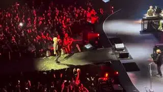 05 La Belle et la Bête - Indochine - Orléans 11 février 2025