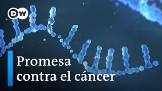 Día mundial contra el cáncer: las vacunas de ARN mensajero