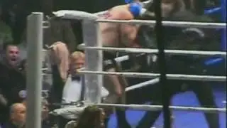 Melvin Manhoef Highlight - It's a Fight