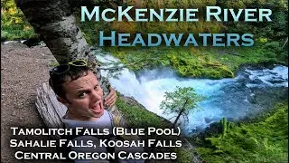 McKenzie River Headwaters &bull; Sahalie, Koosah & Tamolitch Falls (Blue Pool) &bull; Central Oregon Cascades