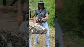 Motosierra Stihl Ms250 de 45,4 cc para cortar un  tronco de haya - Barra GB de 19