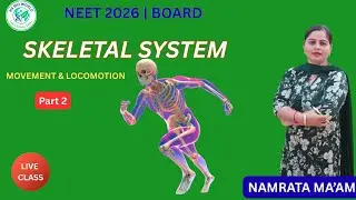 Skeletal System Part 2 | Types of Bones | Long, Short, Flat & Irregular Bones by Namrata Ma`am