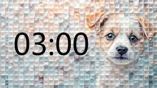 3 Minute Timer (GOOD PUPPY MUSIC + Sound Notification at Zero)