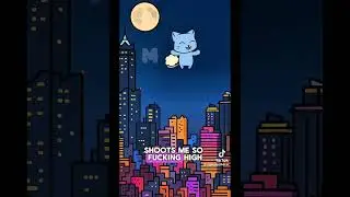 Momo The Cat TikTok Compilation 2  