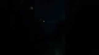 BIMBO GOT CHASED AND ALMOST DIED!!!