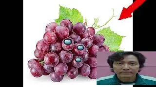Grape Lore