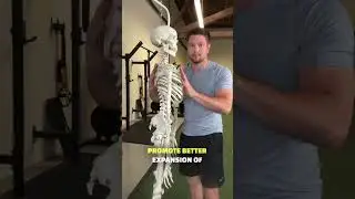 Why Everyone Has A &ldquo;Winged&rdquo; Shoulder Blade On One Side! #posture #posturecorrection #shoulderpain