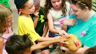 Dallas Zoo Summer Camp