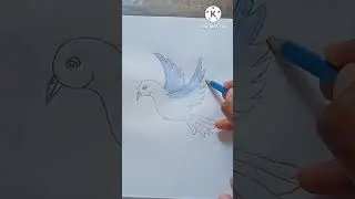 bird colour step by step #art #ashortaday