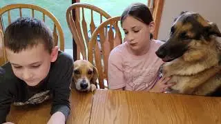 Opening An Air Drop Crate With My Kids!