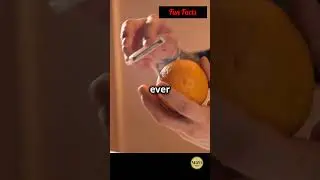 10 Fun Facts About Oranges You Didn't Know!