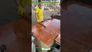 Full automatic roller type Plywood edge cutting saw machine,plywood DD saw,Plywood roller Saw#DD saw