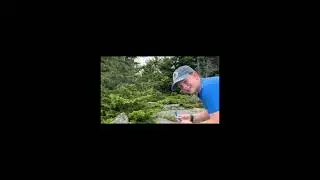 Mount Morgan, Percival, Squam 52 with a view hike