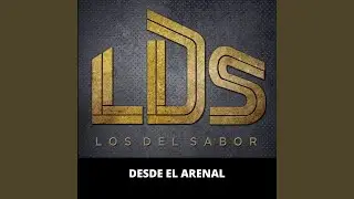 Los Diablos de la Costa Chica / Son en Fa / El Toro / Verdad de Dios (En Vivo)