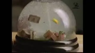 Caritas Relief Organization: Snowstorm Globe (2000)