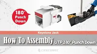 Using a 90&deg; & 180&deg; Termination Tool assembles CAT.6 180-degree colored plate RJ45 Keystone Jacks