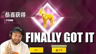 GOLDEN HORSE SKIN CRATE OPENING | PUBG MOBILE CHINESE VERSION