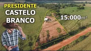 CHÁCARA DE 15.000m² em Presidente Castelo Branco - PR
