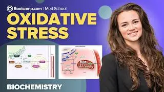Biochemistry Chapter 7 | Oxidative Stress: PPP, Respiratory Burst, Ethanol Metabolism