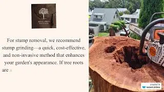 Tree Removal Woodvale - Real Tree Solutions