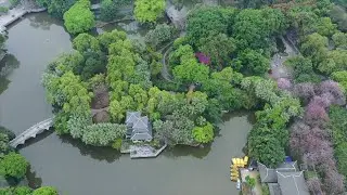 Ancient tree protection turns China's Liuzhou into eco-friendly tourist attraction