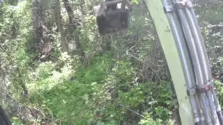 How to Clear Brush With an Excavator: Part 1