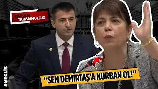 YOK BÖYLE TARTIŞMA! Meral Danış Beştaş, AKP'li Çelebi'ye açtı ağzını yumdu gözünü... | ARŞİV