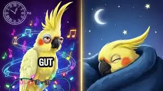 Warum Papageien Ruhe in der Nacht brauchen 😴🦜 Die Nacht, die alles veränderte | Skippy & Wild