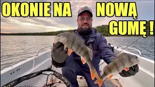 Ta przynęta to kosa! Piękne OKONIE na nową gumę. GF1 Twister Great Fish