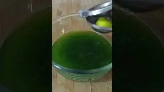 Pudina Sharbat