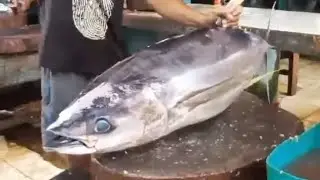 Nice Cut ‼️ Abang Rizal cut big tuna very good