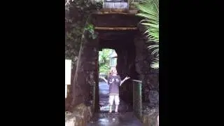 Bellingham Maze Waterfall