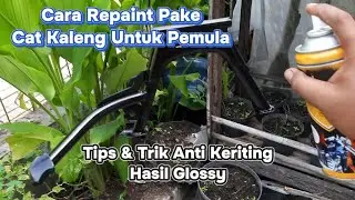 Cat Diton Warna Hitam Glossy - Cara Agar Hasil Repaint Tidak Keriting - Cuma Pake Diton Premium